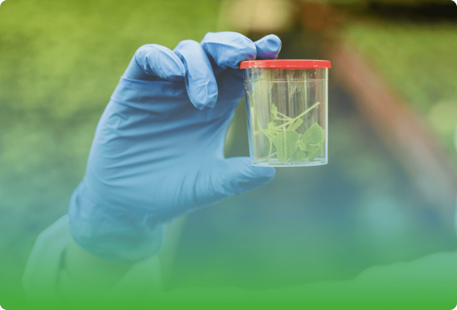 Icona settore agrochimico evidenziato