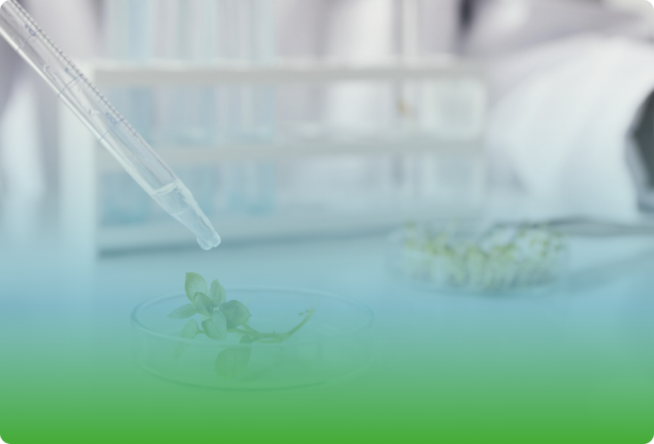 Smipa: prodotti per il settore dietetico ed erboristico